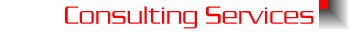 Consulting Services